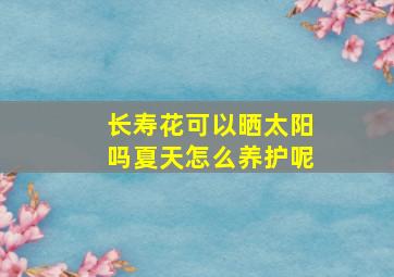 长寿花可以晒太阳吗夏天怎么养护呢