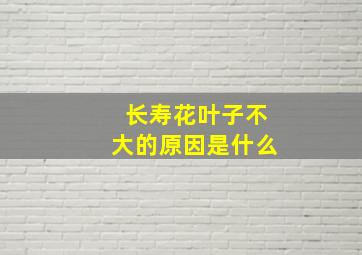 长寿花叶子不大的原因是什么