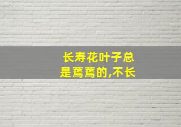 长寿花叶子总是蔫蔫的,不长