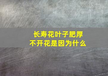 长寿花叶子肥厚不开花是因为什么