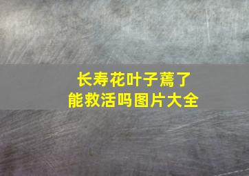 长寿花叶子蔫了能救活吗图片大全