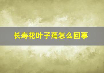 长寿花叶子蔫怎么回事