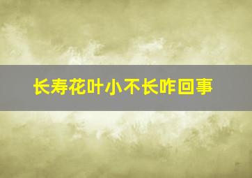 长寿花叶小不长咋回事