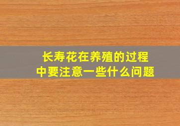 长寿花在养殖的过程中要注意一些什么问题