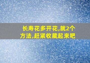 长寿花多开花,就2个方法,赶紧收藏起来吧