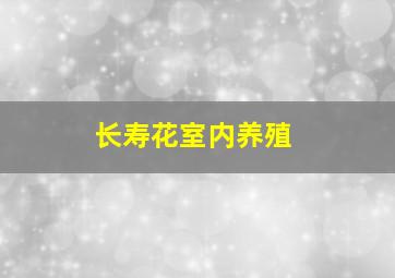 长寿花室内养殖