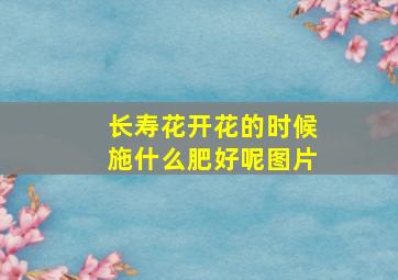 长寿花开花的时候施什么肥好呢图片