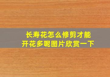 长寿花怎么修剪才能开花多呢图片欣赏一下