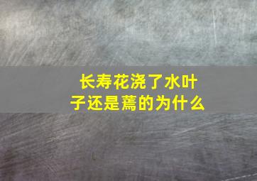 长寿花浇了水叶子还是蔫的为什么