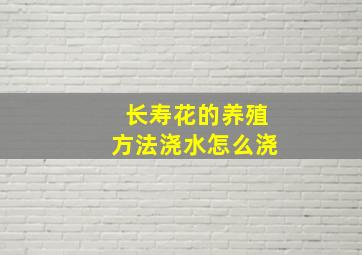 长寿花的养殖方法浇水怎么浇