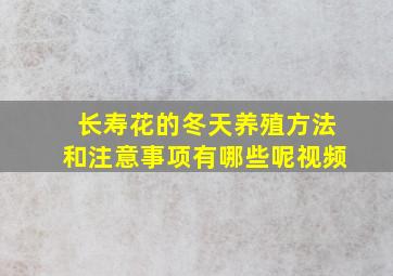 长寿花的冬天养殖方法和注意事项有哪些呢视频