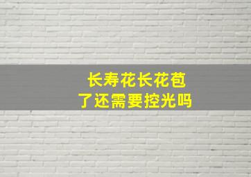 长寿花长花苞了还需要控光吗