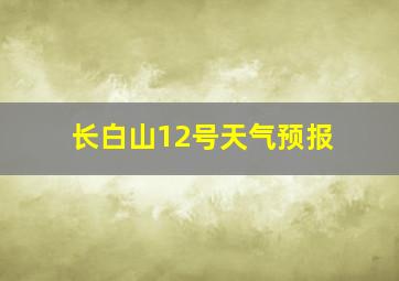 长白山12号天气预报