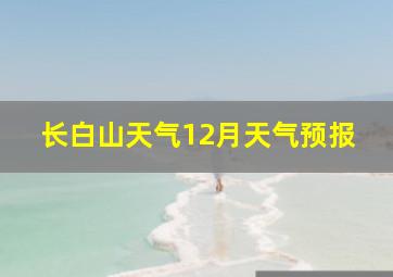 长白山天气12月天气预报