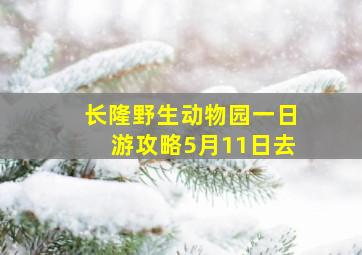 长隆野生动物园一日游攻略5月11日去