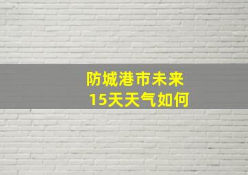 防城港市未来15天天气如何