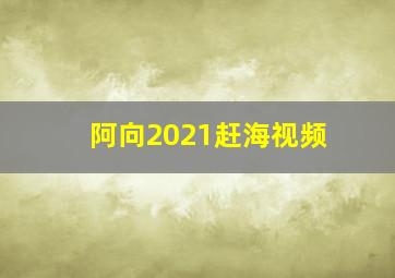 阿向2021赶海视频