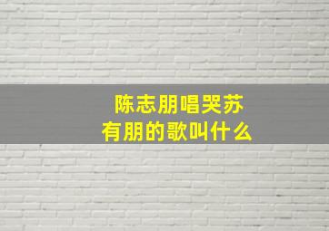 陈志朋唱哭苏有朋的歌叫什么