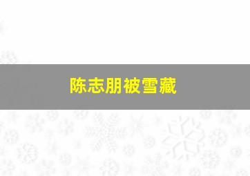 陈志朋被雪藏