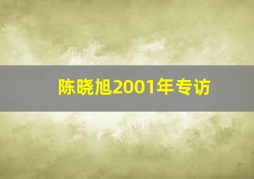 陈晓旭2001年专访