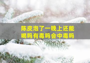 陈皮泡了一晚上还能喝吗有毒吗会中毒吗