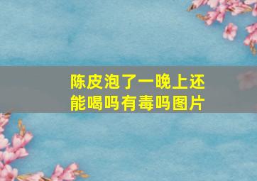 陈皮泡了一晚上还能喝吗有毒吗图片