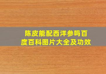 陈皮能配西洋参吗百度百科图片大全及功效