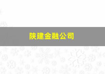 陕建金融公司