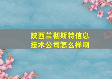 陕西兰彻斯特信息技术公司怎么样啊