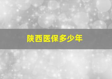 陕西医保多少年