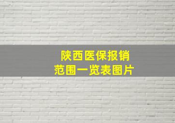 陕西医保报销范围一览表图片