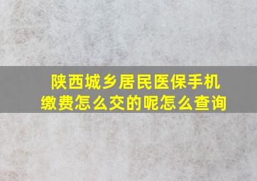 陕西城乡居民医保手机缴费怎么交的呢怎么查询