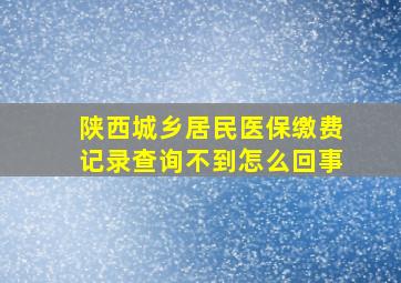 陕西城乡居民医保缴费记录查询不到怎么回事