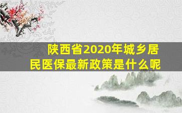 陕西省2020年城乡居民医保最新政策是什么呢