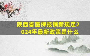 陕西省医保报销新规定2024年最新政策是什么