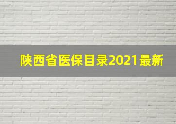 陕西省医保目录2021最新