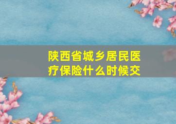 陕西省城乡居民医疗保险什么时候交