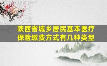 陕西省城乡居民基本医疗保险缴费方式有几种类型