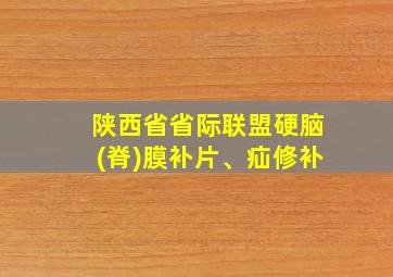 陕西省省际联盟硬脑(脊)膜补片、疝修补