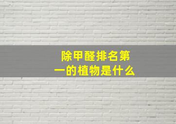 除甲醛排名第一的植物是什么