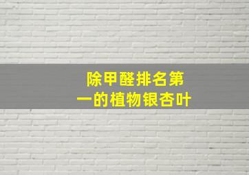 除甲醛排名第一的植物银杏叶