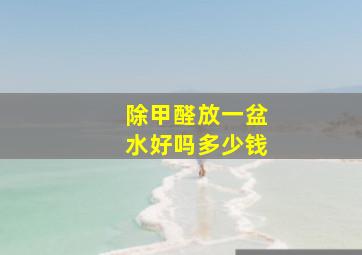 除甲醛放一盆水好吗多少钱