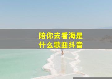 陪你去看海是什么歌曲抖音