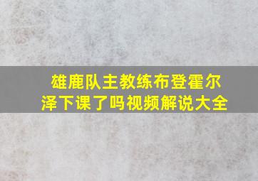 雄鹿队主教练布登霍尔泽下课了吗视频解说大全