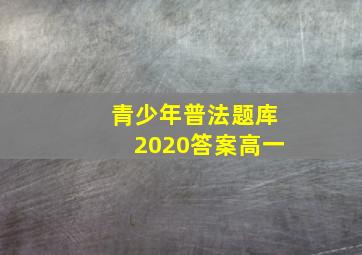 青少年普法题库2020答案高一