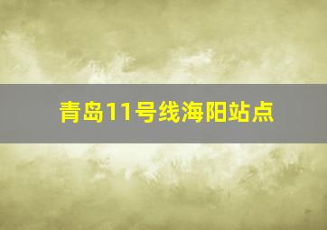 青岛11号线海阳站点