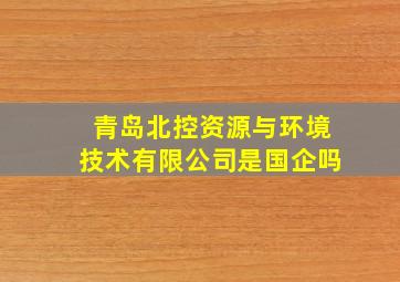 青岛北控资源与环境技术有限公司是国企吗