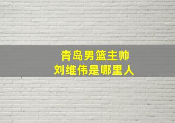 青岛男篮主帅刘维伟是哪里人