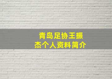 青岛足协王振杰个人资料简介