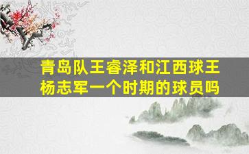 青岛队王睿泽和江西球王杨志军一个时期的球员吗